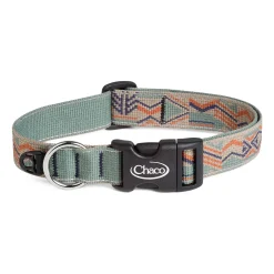 Dog Collars