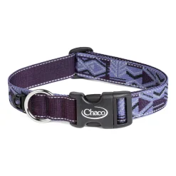 Dog Collars
