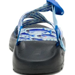 Men's Blue Fish Wide Width Z/1 Classic Sandal