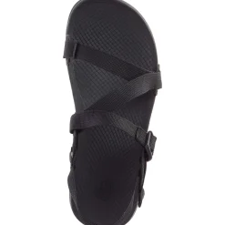 Men's Lowdown Sandal