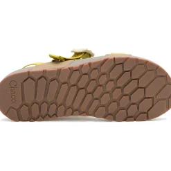 Women's Lowdown Sandal